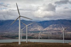 IMG_20230614_103417_548 - Copy