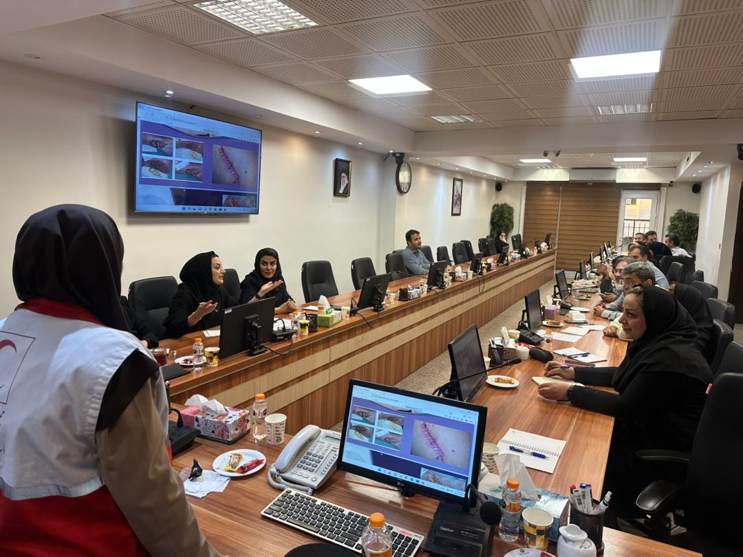 WhatsApp Image 2025-11-11 at 11.37